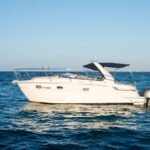 YRD Prime 33ft – nora 33ft yacht rental in Dubai Harbour up to 8 guests – photo 8 of 8